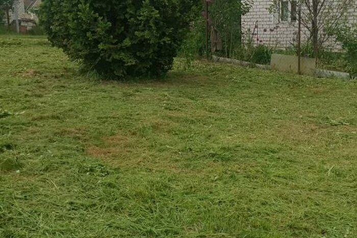 Продаю участок в СТ «Атлант-4». Рядом река, лес и электричка!